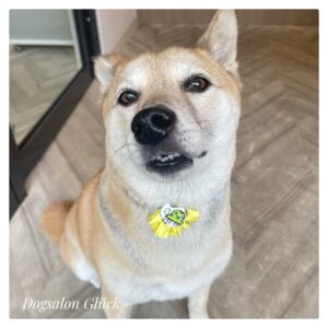 ミックス