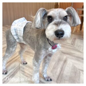 ミニチュアシュナウザー