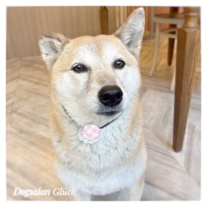 ミックス