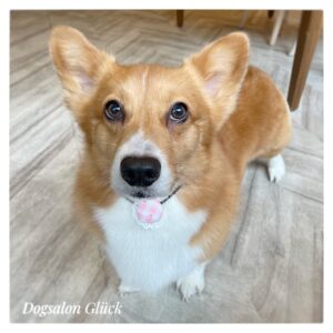 ミックス