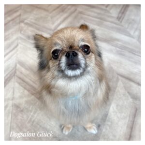 ミックス