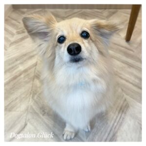 ミックス