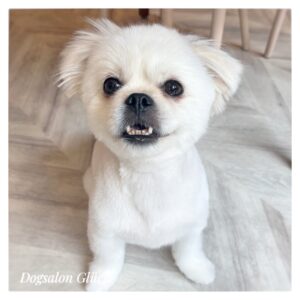 ミックス