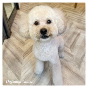 ミックス