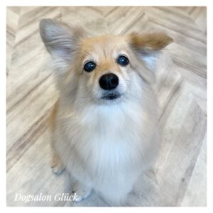 ミックス